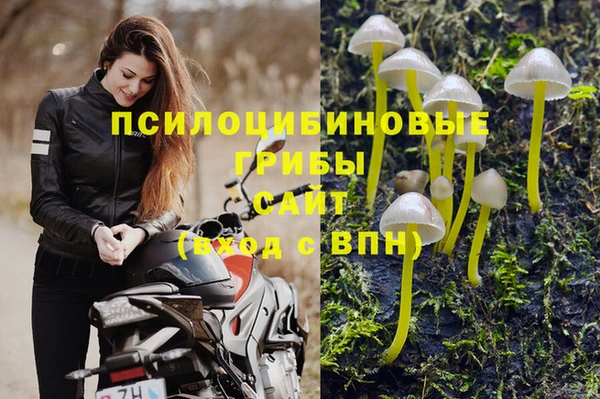 соль ск Алексеевка